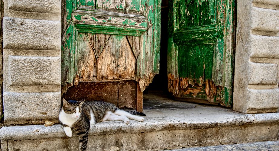 Balkan kat Balkan kat